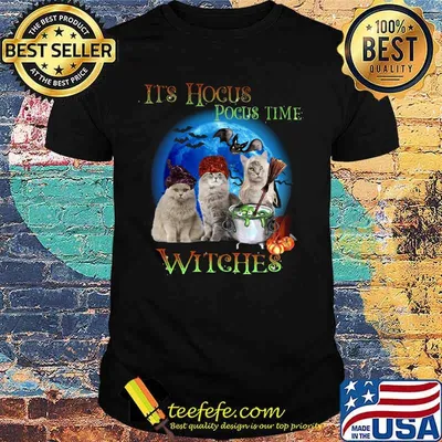 CATS HALLOWEEN IT'S HOCUS POCUS TIME WITCHES SHIRT