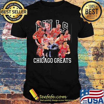 Chicago bulls basketball greats shirt