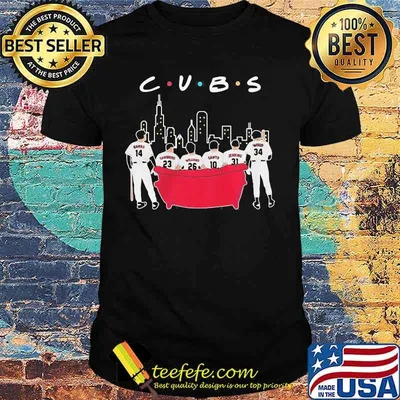 Chicago cubs baseball team sitting sofa shirt