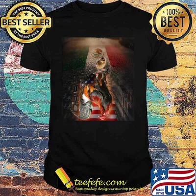 Chicken reflection florida american flag independence day shirt
