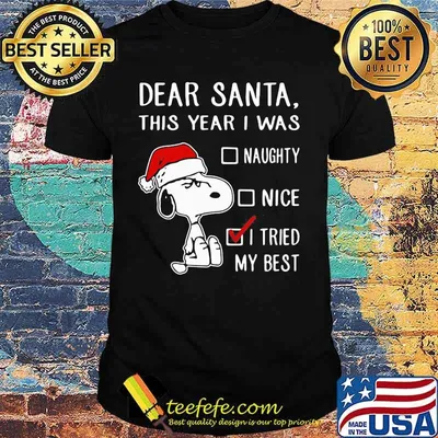 Christmas dear santa this year i was naughty nice i tried my best shirt