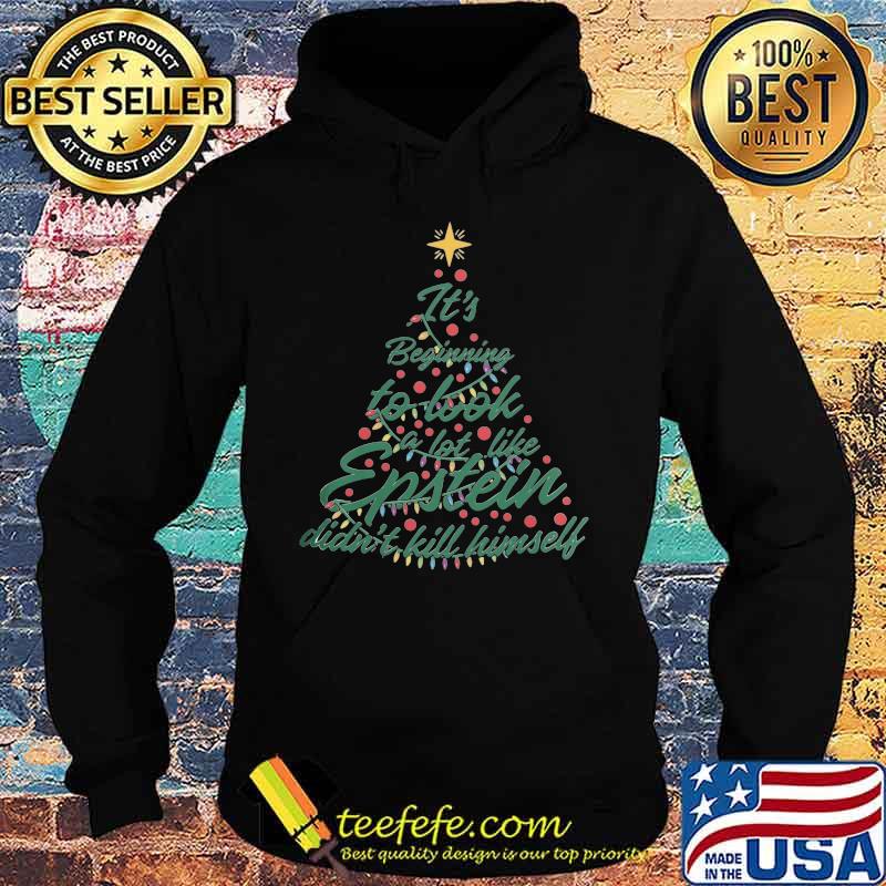 Christmas tree it's beginning to look a lot like epstein didn't kill himself s Hoodie Christmas tree it's beginning to look a lot like epstein didn't kill himself s Hoodie