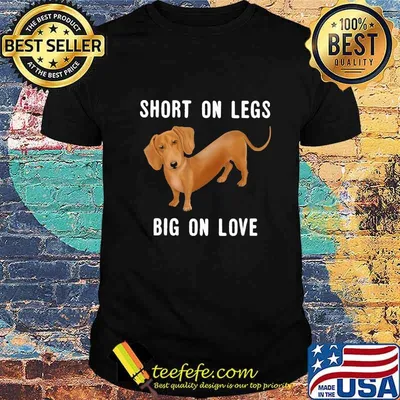 Dachshund short on legs big on love shirt
