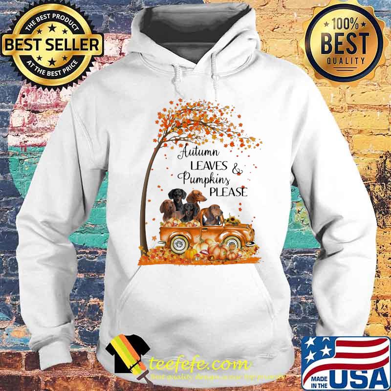 Dachshunds autumn leaves and pumpkins please happy fall s Hoodie Dachshunds autumn leaves and pumpkins please happy fall s Hoodie