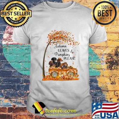 Dachshunds autumn leaves and pumpkins please happy fall shirt