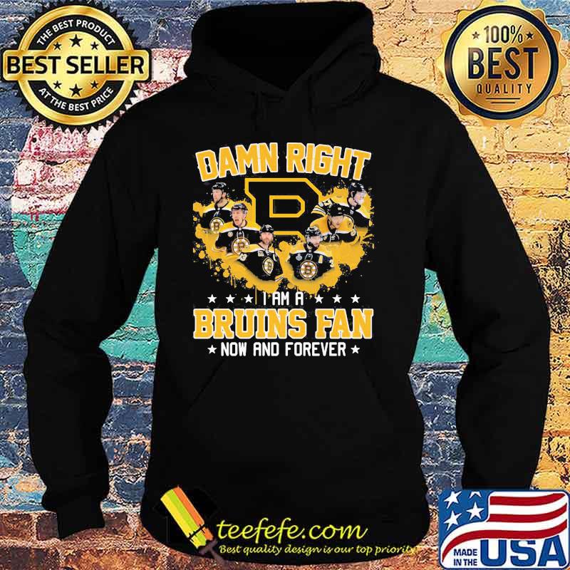Damn right i am a boston bruins fan now and forever stars s Hoodie Damn right i am a boston bruins fan now and forever stars s Hoodie