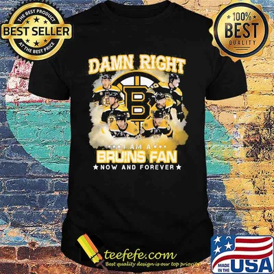 Damn right i am a boston bruins fan now and forever stars shirt