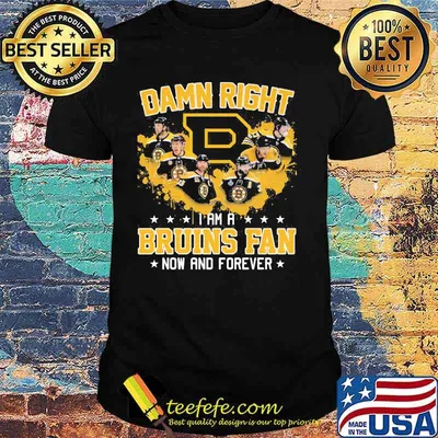 Damn right i am a boston bruins fan now and forever stars shirt