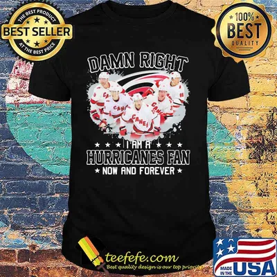 Damn right i am a hurricanes fan now and forever stars shirt