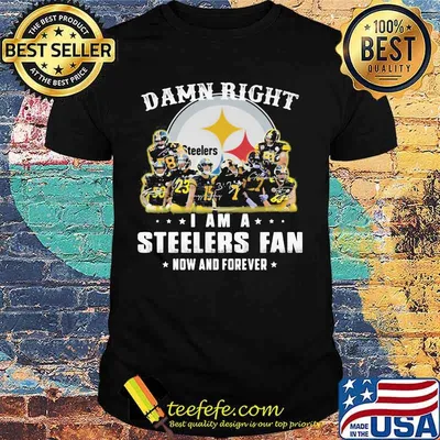 Damn right i am a pittsburgh steelers fan now and forever stars signatures shirt