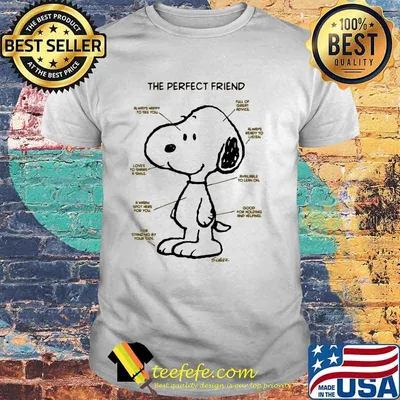 Disney snoopy the perfect friend shirt