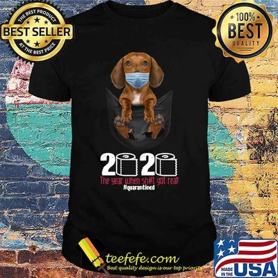 Dog wear mask 2020 the year when shit got real quarantined shirt (2)