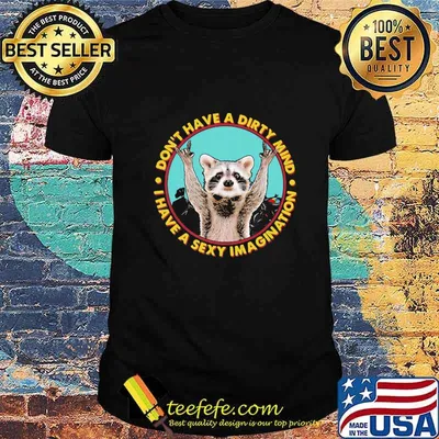 Don't Have A Dirty Mind I Have A Sexy Imagination Raccoon Shirt