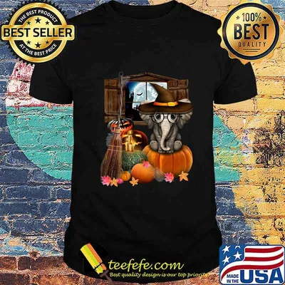 Elephant witch pumpkin halloween shirt
