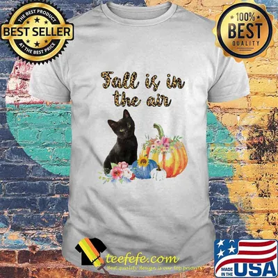 FALL IS IN THE AIR CAT PUMPKIN FLOWER SHIRT