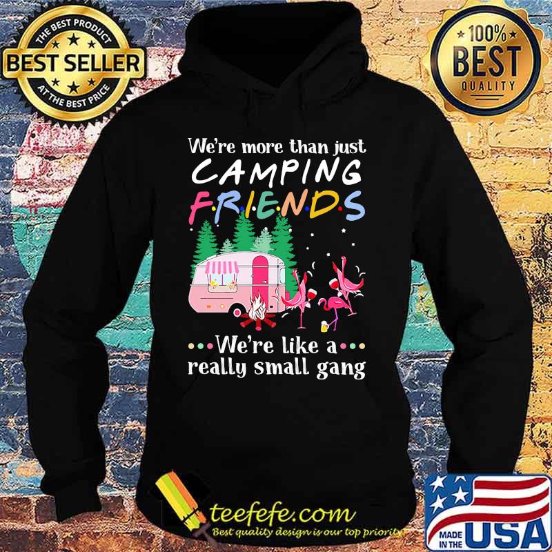 Flamingo we're more than just camping friends we're like a really small gang lights s Hoodie Flamingo we're more than just camping friends we're like a really small gang lights s Hoodie