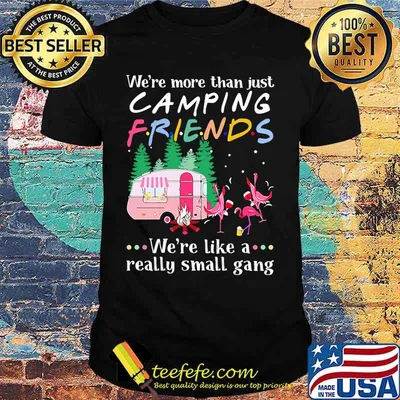 Flamingo we're more than just camping friends we're like a really small gang lights shirt