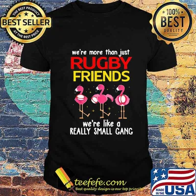 Flamingo We're more than just rugby friends we're like a really small gang shirt