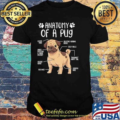 Funny Anatomy Pug Dog Pug Lover Gift T-Shirt