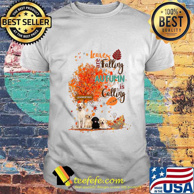 Golden retriever leaves are falling autumn is calling shirt Golden retriever leaves are falling autumn is calling shirt