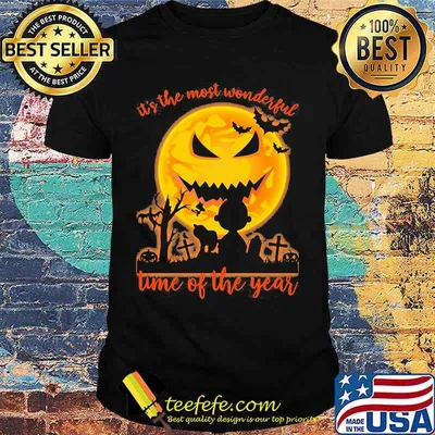 Halloween charlie brown and snoopy it's the most wonderful time of the year moon shirt