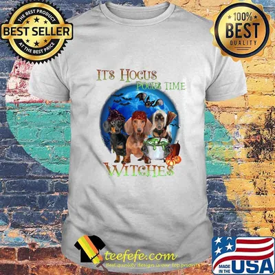 Halloween dachshund it's hocus pocus time witches shirt