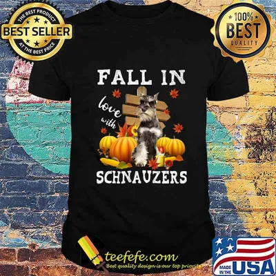 Halloween fall in love with schnauzers pumpkins shirt