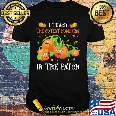 Halloween i teach the cutest pumpkins in the patch shirt