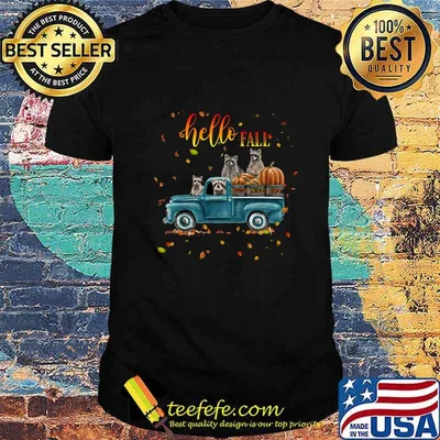 Halloween raccoon riding car hello fall pumpkin shirt