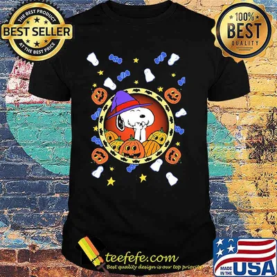 Halloween snoopy witch pumpkin shirt