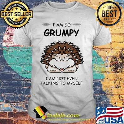 Hedgehog i am so grumpy i am not even talking to myself 2020 shirt