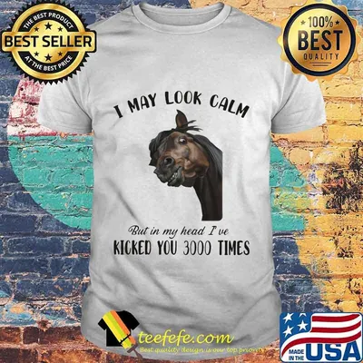Horse i may look calm but in my head i've kicked you 3000 times shirt