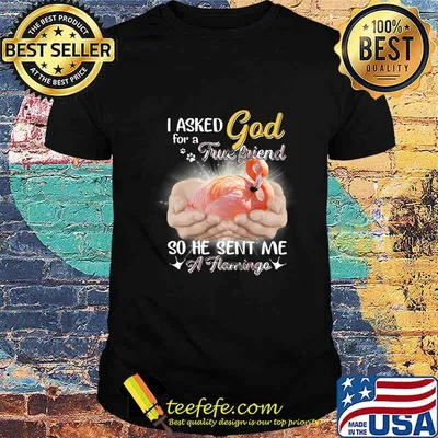 I asked god for a true friend so he sent me a flamingo shirt