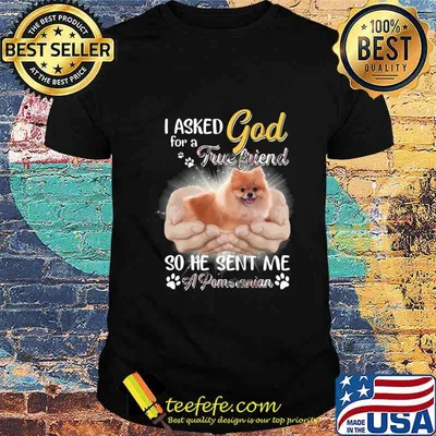 I asked god for a true friend so he sent me a paw pomeranian shirt