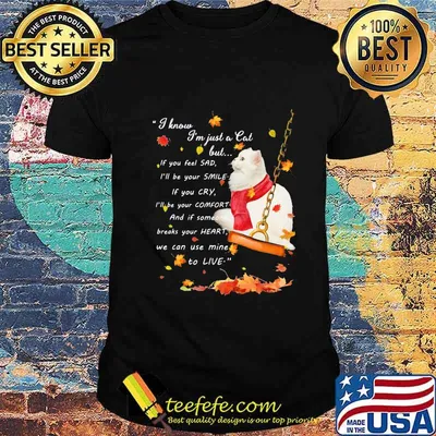I know i'm just just a cat but if you feel sad i'll be your smile if you cry i'll be your comfort and if someone breaks your heart we can use mine to live shirt