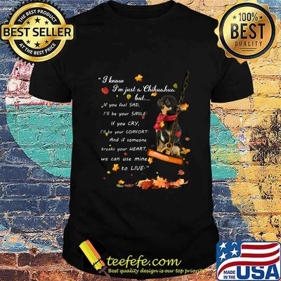 I know i'm just just a chihuahua but if you feel sad i'll be your smile if you cry i'll be your comfort and if someone breaks your heart we can use mine to live shirt