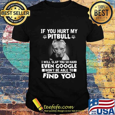 If you hurt my pitbull i will slap you so hard even google won't be able to find you shirt