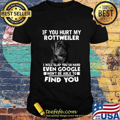 If you hurt my rottweiler i will slap you so hard even google won't be able to find you shirt