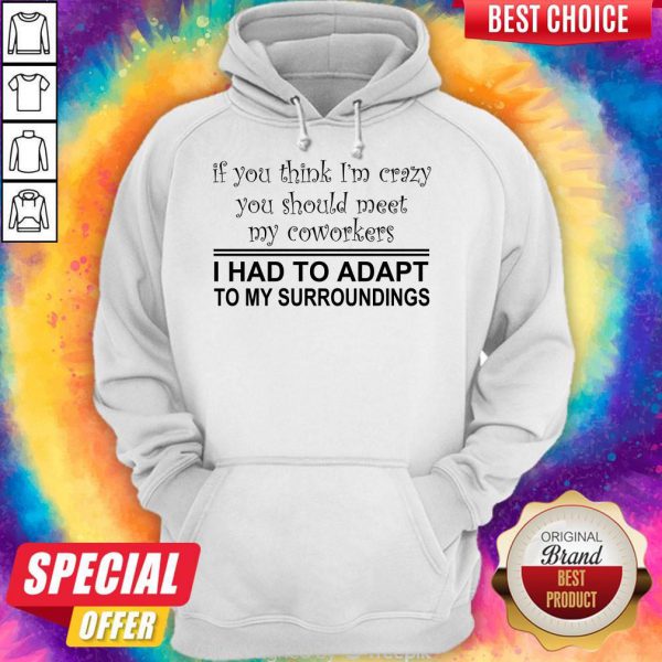 if-you-think-im-crazy-you-should-meet-my-coworkers-i-had-to-adapt-hoodie-600x600-1.jpg