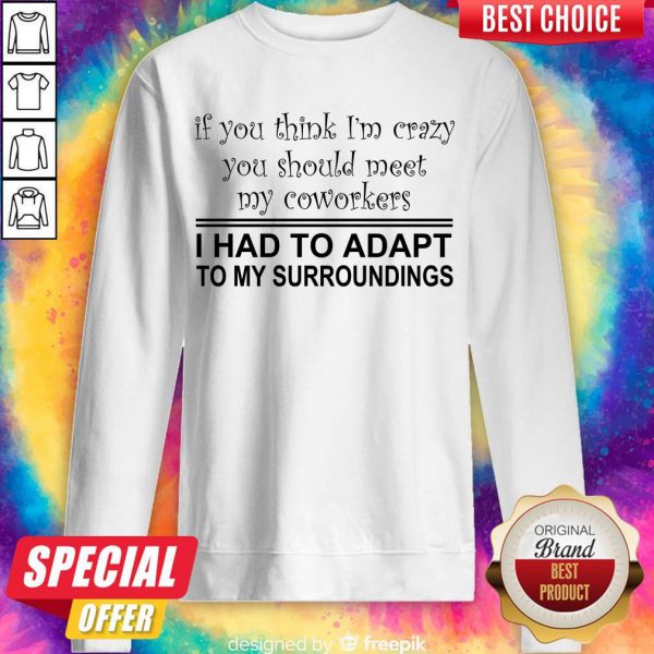 if-you-think-im-crazy-you-should-meet-my-coworkers-i-had-to-adapt-sweatshirt-600x600-1.jpg
