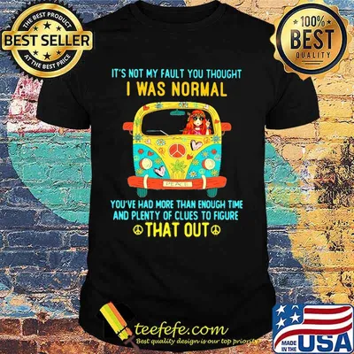 IT'S NOT MY FAULT YOU THOUGHT I WAS NORMAL YOU'VE HAD MORE THAN ENOUGH TIME AND PLENTY OF CLUES TO FIGURE THAT OUT SHIRT