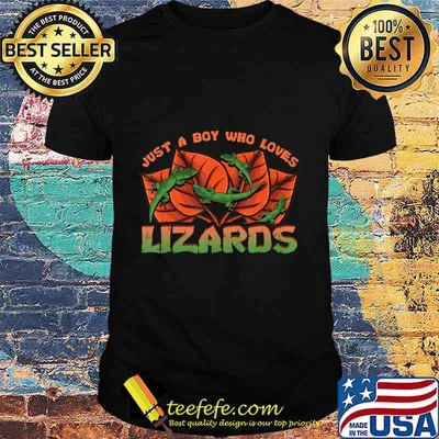 Just A Boy Who Loves Lizards Funny Reptile Herpetology Gift T-Shirt
