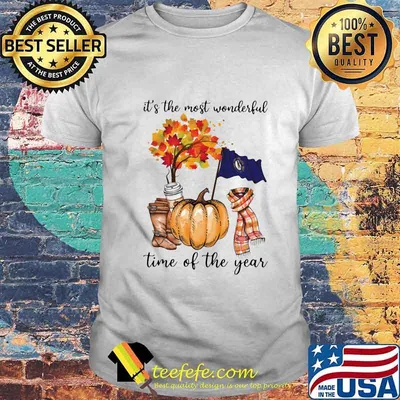 Kentucky flag it's the most wonderful time of the year leaves shirt