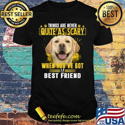 Labrador things are never quite as crazy when you've got a best friend shirt