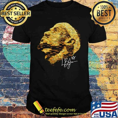 Lebron james signature art shirt