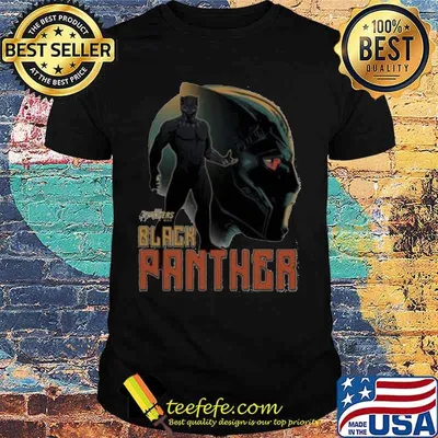 Marvel black panther chadwick shirt