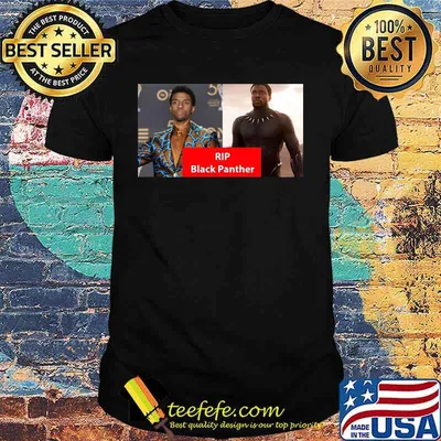 Marvel heroes black panther chadwick picture shirt