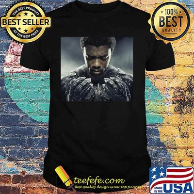 Marvel heroes black panther rip chadwick boseman pictures shirt