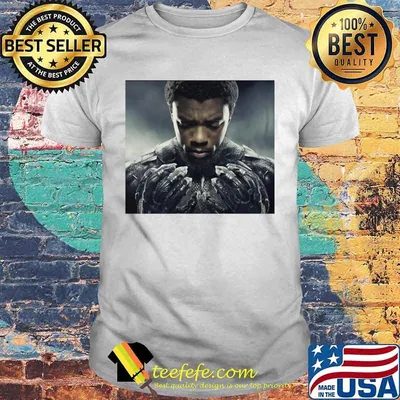 Marvel heroes black panther rip chadwick pictures shirt