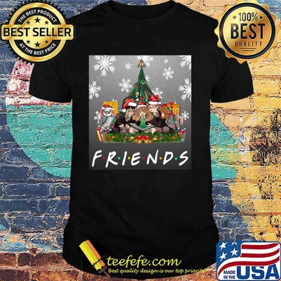 Merry christmas harry potter friends shirt